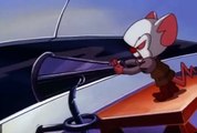 Pinky and the Brain Pinky and the Brain S03 E038 The Melancholy Brain