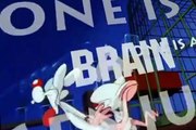Pinky and the Brain Pinky and the Brain S02 E012 Two Mice and a Baby