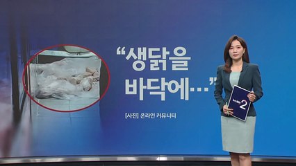 "생닭을 왜 바닥에..." 유명 치킨 프랜차이즈 위생 논란  [앵커리포트] / YTN