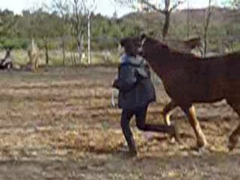 Un petit moment de galop