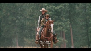 Yellowstone Trailer