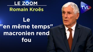 Zoom - Romain Kroës : Régime des partis : des parlementaires impuissants