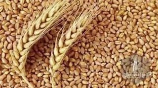 In the scandal of importing extra wheat, those responsible have been determined | The Prime Minister approved the action