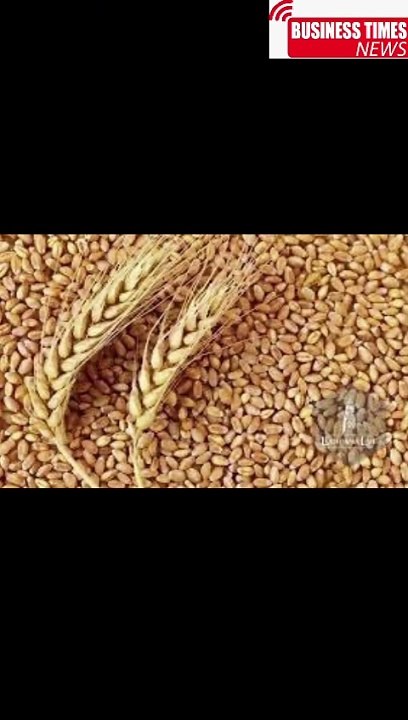 In the scandal of importing extra wheat, those responsible have been determined | The Prime Minister approved the action