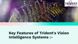 Enhancing Manufacturing Efficiency with Trident's Vision Intelligence Systems