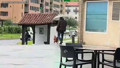 Un joven pasea por un pueblo del País Vasco y lo que capta con el móvil se vuelve viral