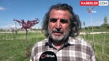 Nesli Tehlike Altında Olan Yaralı Dağ Keçisi Sağlığına Kavuşuyor