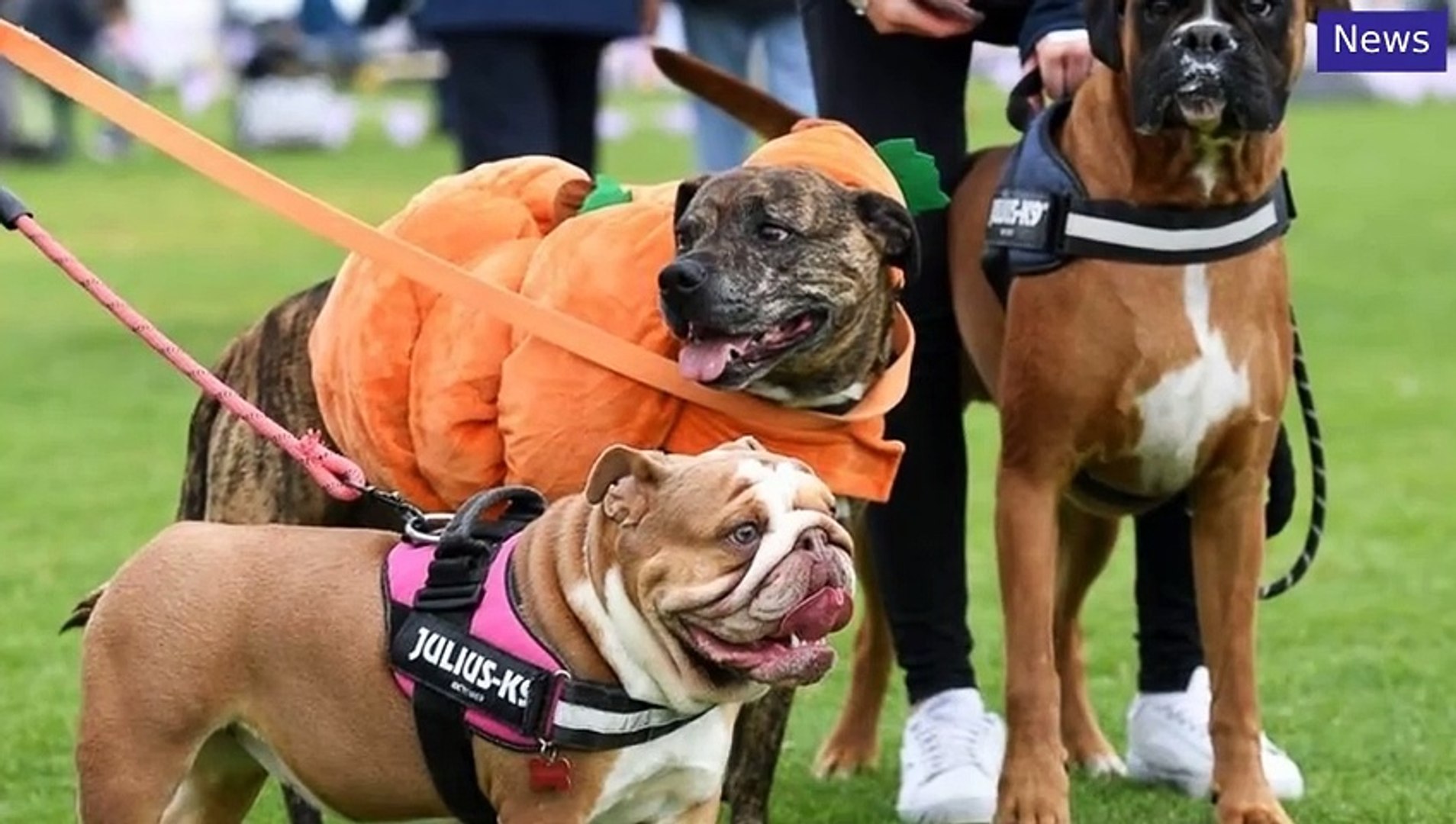 Milton Keynes Citizen Morning Update 21 May, 2024