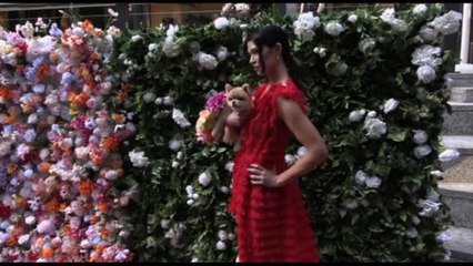 I cani fashion con i look del Met Gala al "Pet Gala" di New York