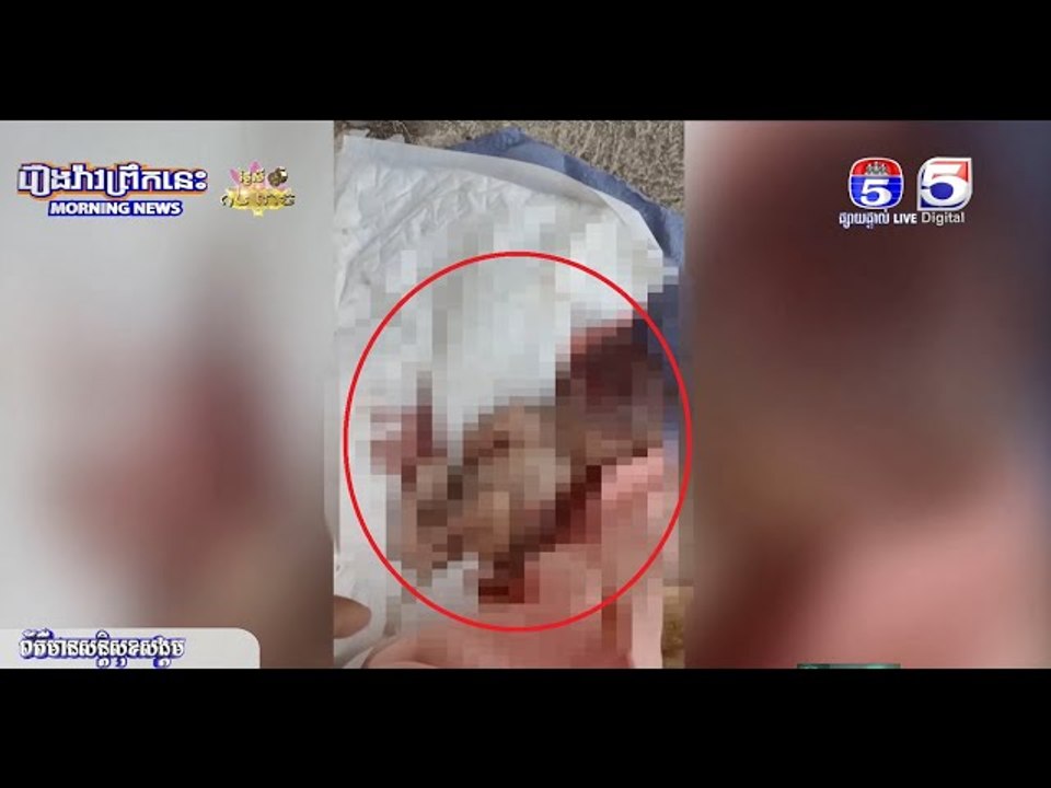 អាសូរណាស់!....ប្រទះឃើញសពទារក គេយកទៅបោះចោលហើយជនអនាថា រើសយកទៅបូជាក្នុងវត្តទឹកថ្លា បង្កការភ្ញាក់ផ្អើល