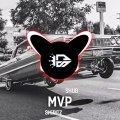 Shub MVP Slowed Reverb full song
