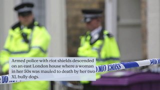 XL Bully attack: Woman mauled to death by pet dogs as police with riot shields descend on east London house