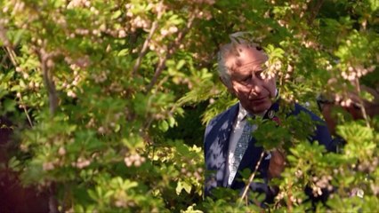 The King and Queen Explore Innovative Garden Designs at the Chelsea Flower Show