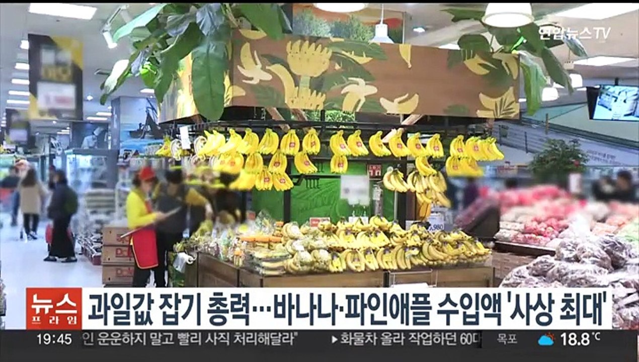 과일값 잡기 총력…바나나·파인애플 수입액 '사상 최대'