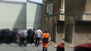 İstanbul'da başı boş maymun paniği