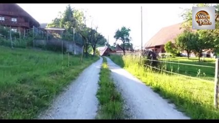 نبی کریم ﷺ اور اونٹ کا ایمان افروز واقعہ  & حادثة النبي صلى الله عليه وسلم والجمل