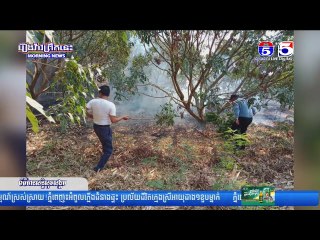 ភ្លើងឆេះព្រៃរាលដាលចូលដីចម្ការ បំផ្លាញដំណាំតាង៉ែនអស់ជាង ១០០ដើម