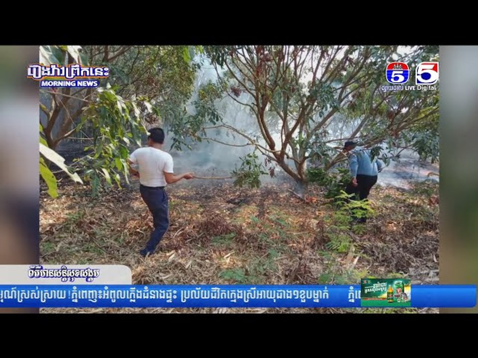 ភ្លើងឆេះព្រៃរាលដាលចូលដីចម្ការ បំផ្លាញដំណាំតាង៉ែនអស់ជាង ១០០ដើម