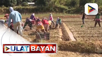 D.A., nakapagbigay na ng P9.71-B na tulong sa mga apektado ng El Niño