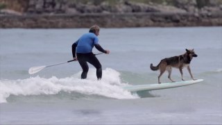 Owners and Their Pooch Shred Some Waves for Good Cause
