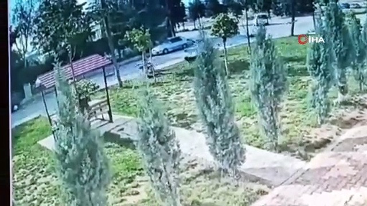 Konya'da kız öğrenciye köpek saldırdı! O anlar güvenlik kamerasında...