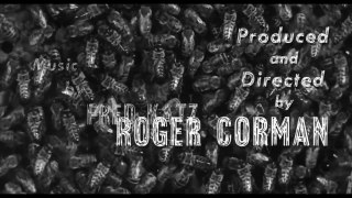 La femme guêpe Roger Corman 1959 Susan Cabot Science-fiction