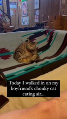 Just practicing for the next meal.