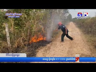 ដីចម្ការ មៀន និងស្វាយ របស់ប្រជាពលរដ្ឋចំនួន ០៣កន្លែង ត្រូវបានភ្លើងឆាបឆេះអស់ 750ដើម ដោយមិនដឹងមូលហេតុ