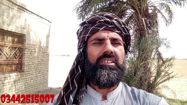 8171 Portal Big New update today||8171bisp eligible||Bisp online registration #bispupdate