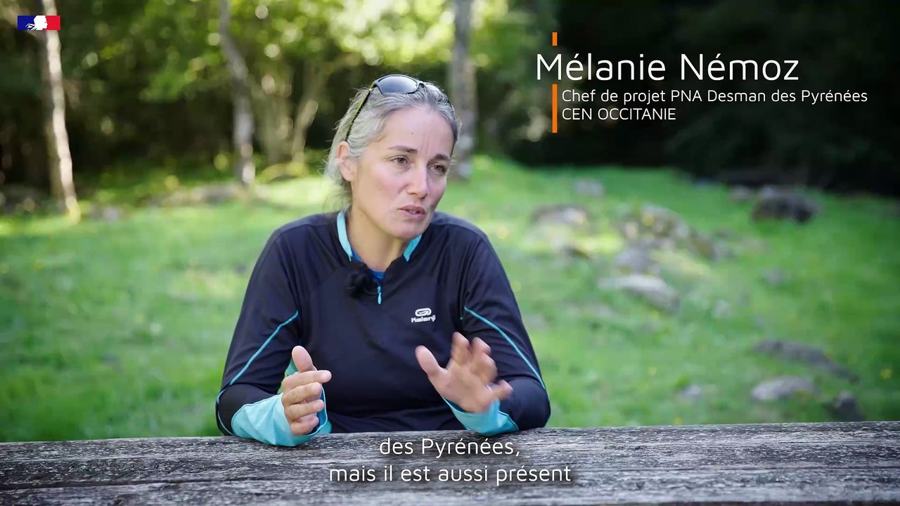 DREAL Occitanie - Plan National D'Action - #2 Le desman des Pyrénées