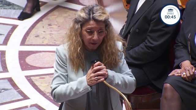 Guerre Israël/ Hamas: La France ne vend pas d'armes à Israël assure Patricia Mirallès