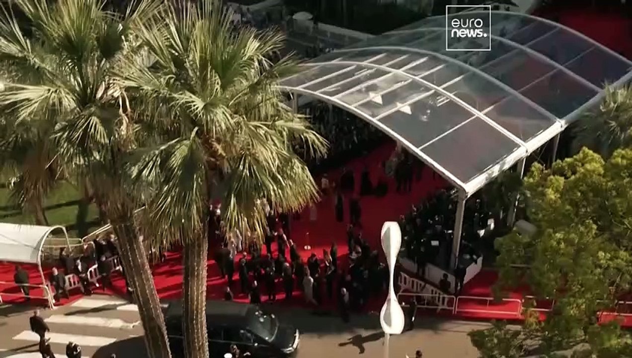 Cannes Film Festival 2024: Our top picks and biggest disappointments so far