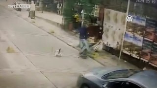Pitbull cinsi köpek çevredekilere saldırdı