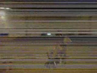 mini equifun avec nymphea