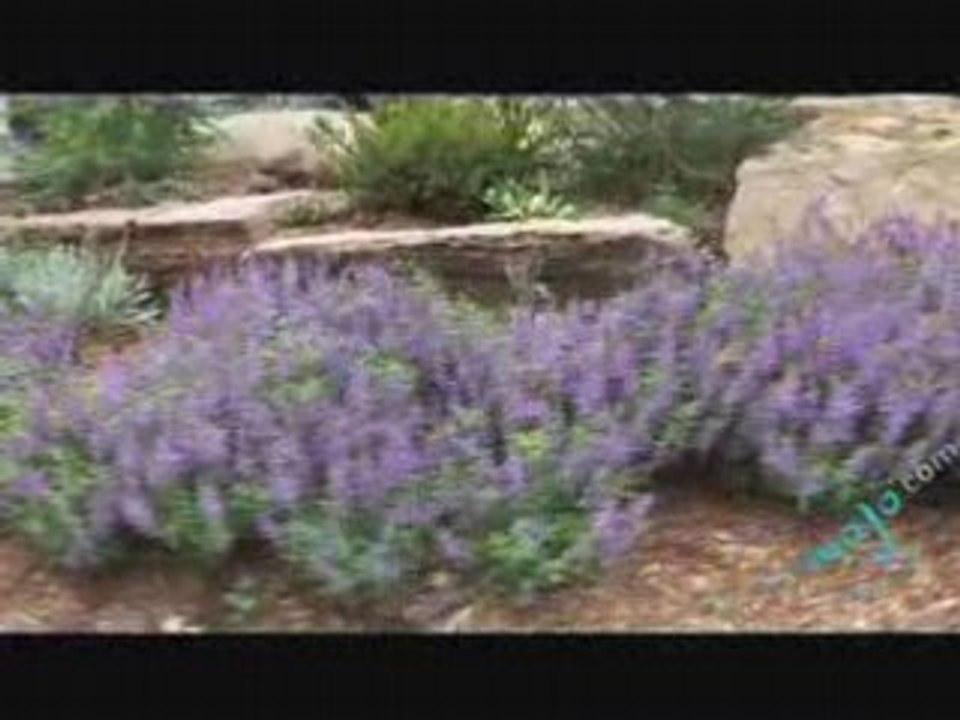 Garden and Landscape Ideas - Part 2