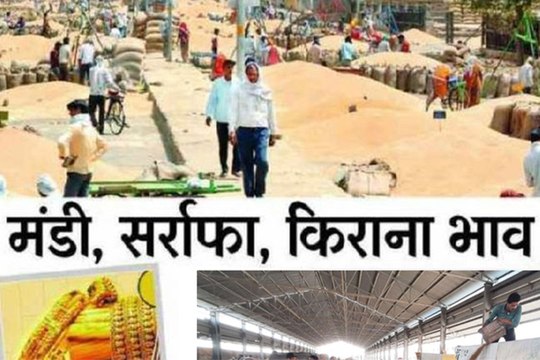 मंडी में एक लाख कट्टे कृषि जिंस की आवक, गेहूं, चना, सरसों व मैथी के भावों में तेजी