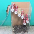 Best mouse trap ideas _the best mouse trap