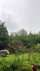 Thunder in South East Cornwall