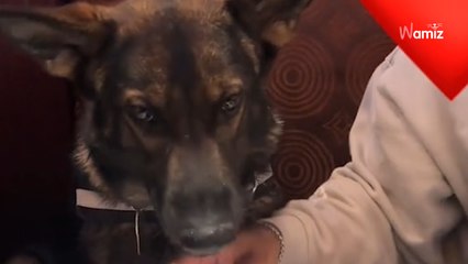 Elle rencontre un homme pour la première fois : lors de son rendez-vous, elle décide d’amener un invité surprise