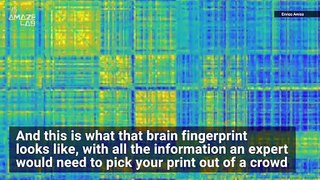 Did You Know That Your Brain Has a ‘Fingerprint’ and it Can Be Identified in Just 100 Seconds?
