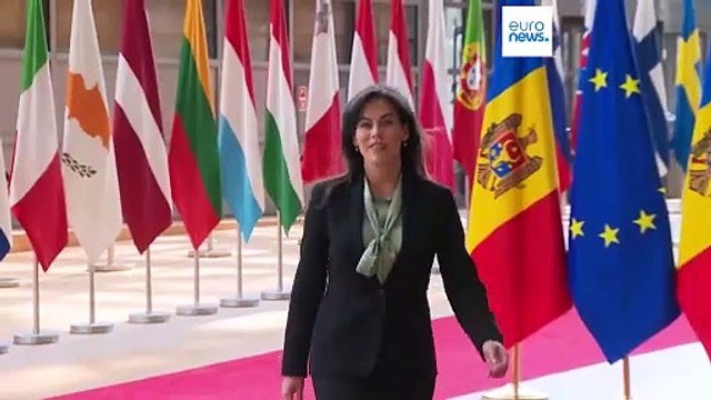 Раскол в Евросоюзе из-за запроса МУС об ордерах на арест деятелей Израиля и ХАМАС