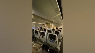 Damage inside Singapore Airlines plane after British man dies following severe turbulence