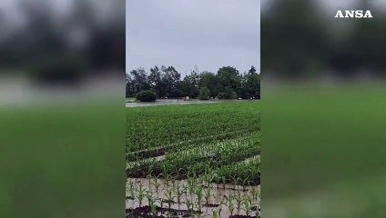 Maltempo in Veneto, il Laverda rompe gli argini nel Vicentino