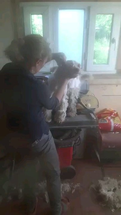 Șogor Tiberiu Adrian 21/05/2024