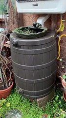 We’re not in Kansas anymore Toto!