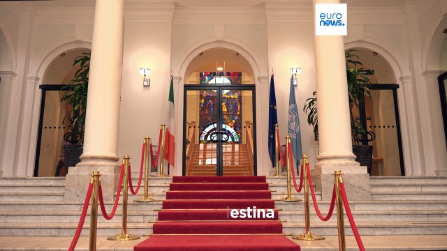 Stato di Palestina unica via per la pace dice il primo ministro dell'Irlanda Harris a Euronews