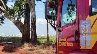 Receita Federal apreende 1,5 tonelada de essências para cigarros eletrônicos em CascavelReceita Federal apreende 1,5 tonelada de essências para cigarros eletrônicos em Cascavel