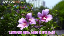 시- 조국을 위한 기도 -양광모_