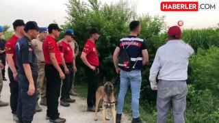 Kozan'da mısır tarlasında kaybolan adam, özel eğitimli köpeklerle aranıyor