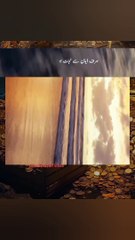 Nijat K liye 4 cheezain| Deen ki batain